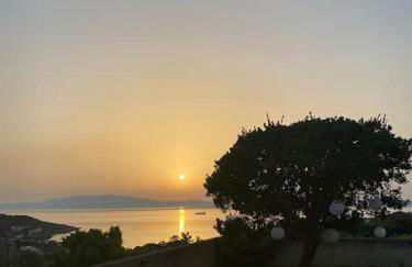 Lemon & Lavender - Photo 32