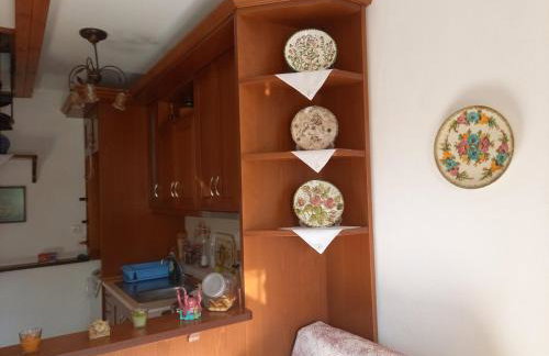 ΠΗΛΙΟ- ΤΟ ΕΞΟΧΙΚΟ ΤΗΣ ΑΝΝΑΣ- ΑΦΗΣΣΟΣ - Photo 11