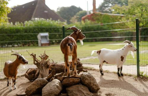 Reethaus 4B - Foto 31