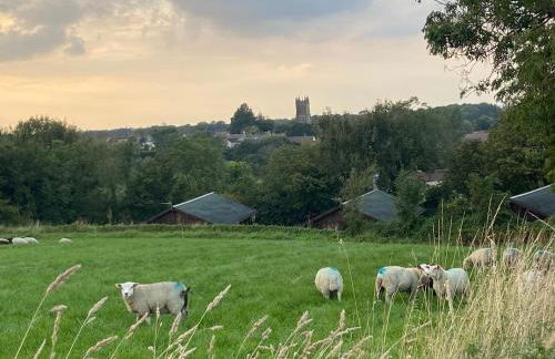 Hollybush Lodges - Foto 44