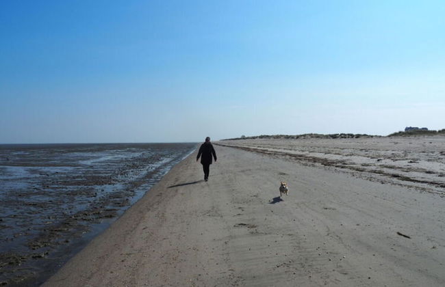 Holiday Home Chalet Wilde Wiese - Foto 30