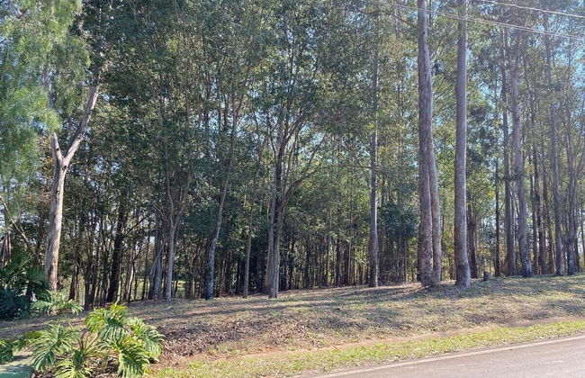 linda casa de campo nova em condominio - Photo 41