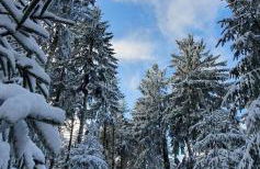 Ferienhaus mit Sauna, Wintergarten und Terrasse im schönen Hochtaunus - Foto 80