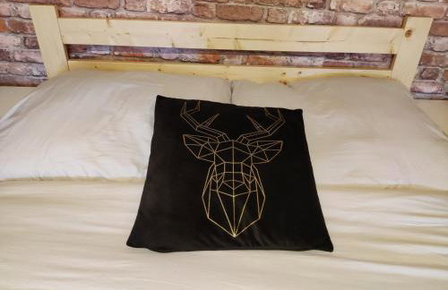 Apartamenty u Gumisia "Gumisiówka" mała agroturystyka Kłodzko Jaszkowa Górna - Foto 19