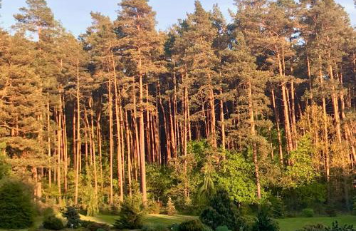 Apartament przy lesie - Foto 24