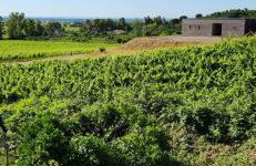 Charmant T3 en rez de jardin d'une villa - Foto 15