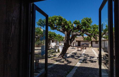 Fattoria Manostalla Villa Chiarelli - Foto 52