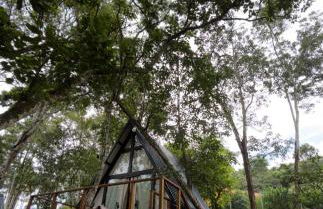 Chalé Malbec, Estrada do Vinho com cafe da manha e hidro - Foto 40