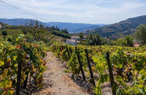 Casa Dona Aninhas - Douro - Foto 13