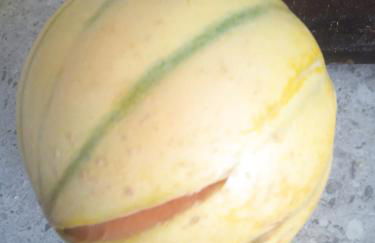 le clos du ventoux - Photo 32