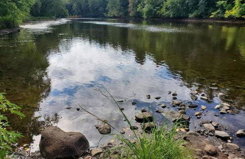 2 bedroom-Riverfront-Fireplace - Pet ok - Foto 10