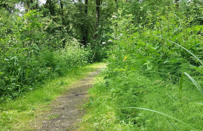 Lakefront Gem in Skarrild - By Traum Ferienwohnungen - Foto 28