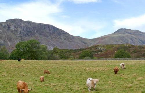 Raceside Farm - Foto 11