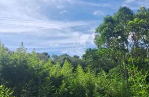 Kombi Home - Photo 3