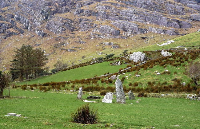 Angelas Farmhouse - Foto 16