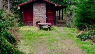Cedar at Rainier Lodge (0.4 m from Mt.Rainier) - Foto 2, Garden view