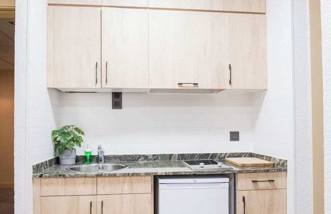 Alda Don Carlos - Foto 17