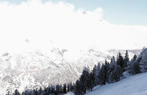 Côté-Bourget 4 pers L'ORGERE proche La Norma Aussois - Foto 17