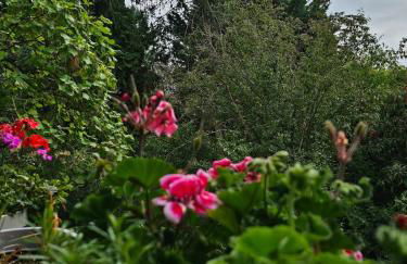 Apartment am Waldrand mit Einzelgarage, Nähe City, Messe & Flughafen - Foto 10