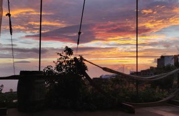 The Lemon Factory - Foto 13