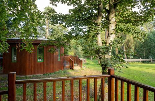 Marcassie Farm Lodges - Oak Studio - Accessible - Foto 10