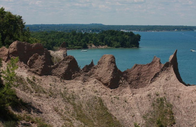 Finger Lakes Treehouse & Spa - Foto 69