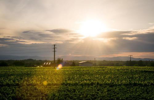 Ferienwohnen im Ziegelfeld - Foto 35