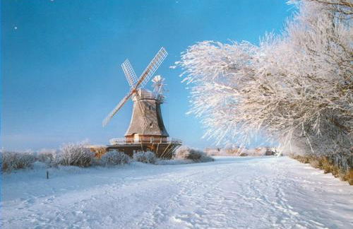 Midlum Stieglitz - Foto 24