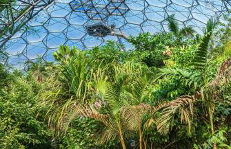 Charlestown cottage, Woodburner, Gardens & Parking - Foto 6