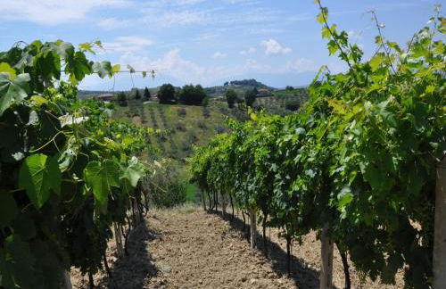 Casa Dona' Penne - Photo 32