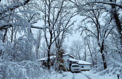 Arnaia Forest Villa - Photo 19