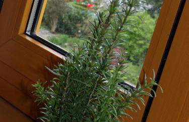 Mondfänger Ferienwohnung , Nähe Playmobil Funpark und Messezentrum - Foto 12