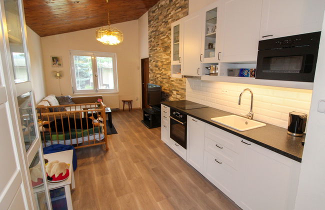 Desná v Jizerských horách - Foto 14