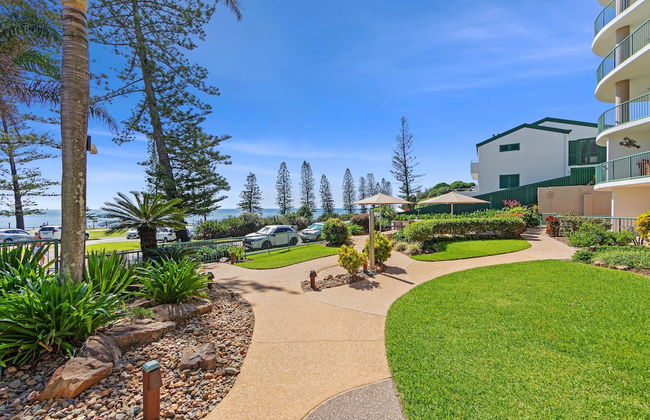 Norfolks on Moffat Beach - Foto 70