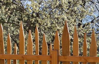 Aschnerhof Auf´m Egg - Foto 9