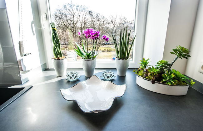 City Lights Apartments - Bosacka - Photo 15