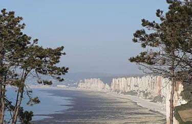 Yport, maison de pêcheur avec jolie terrasse. - Foto 39
