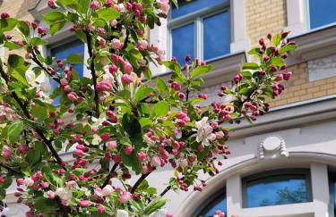 Wohnen auf Zeit - Nähe Klinikum - Foto 14