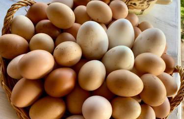 La Locanda Del Tevere - Foto 58