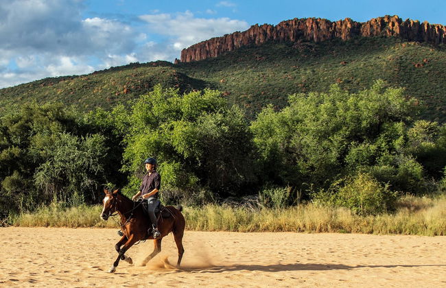Waterberg Guest Farm - Foto 49