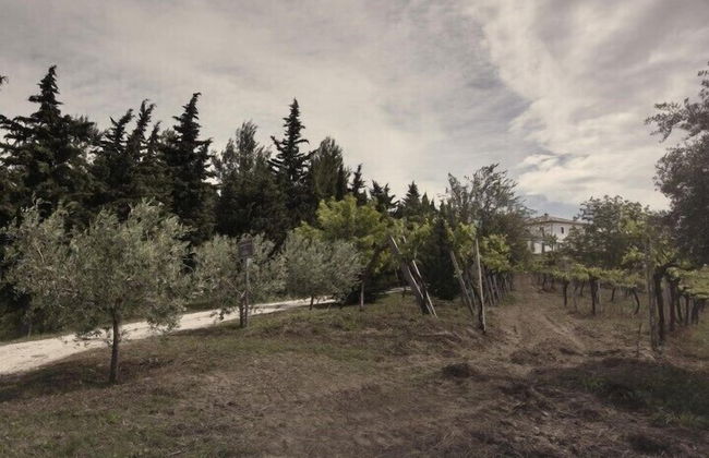 Casina Margherita - Foto 23