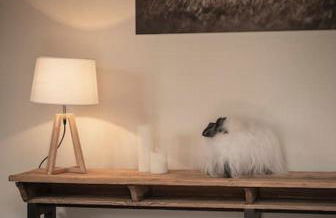 Venez Chez Vous - La Grange du Lac - Vue montagne - Photo 22