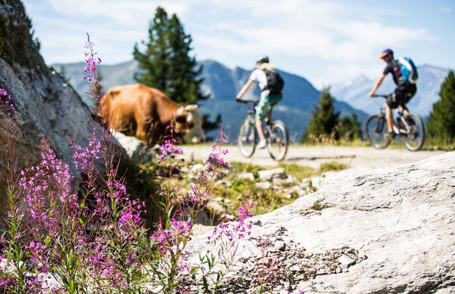 Appartements Fürstalm Alpendorf - Foto 74
