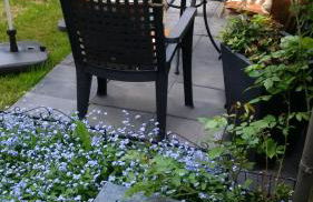 Ferienhaus Rosemarie - Foto 14