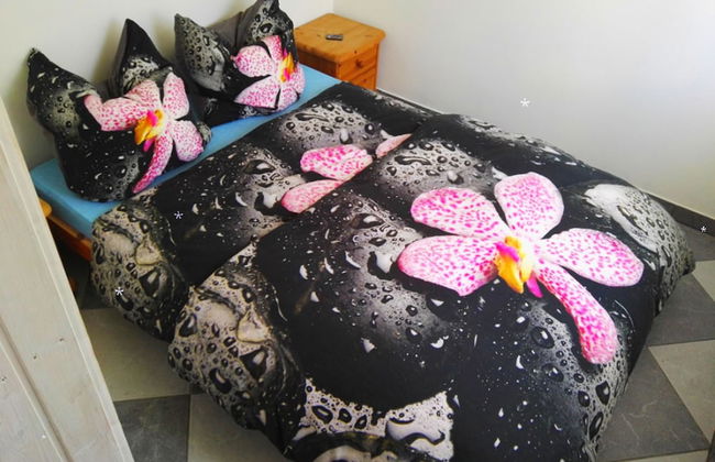 3 Zimmer-Apartment mit Weitblick - Foto 5