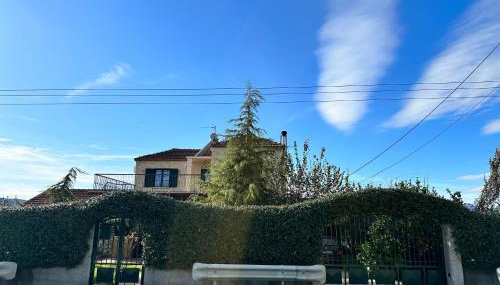 Orange Lemon Garden - Foto 3