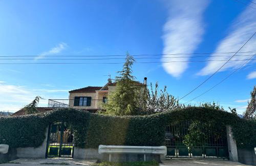 Orange Lemon Garden - Foto 3