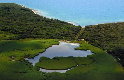 Apartman Agata - Foto 37