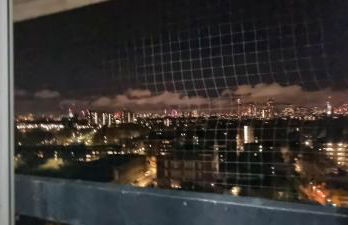 Home for the Holidays - Photo 6