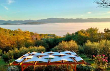 Vigna del Poggio - Foto 17